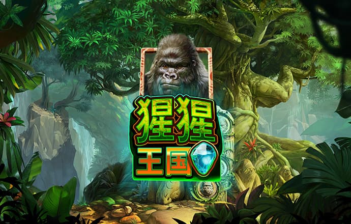 官方金沙娱场151